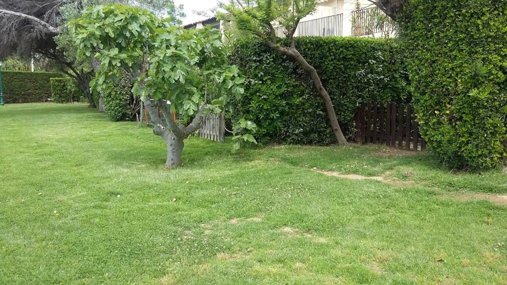 7 Maison Des Sables Grimaud Bagian luar foto